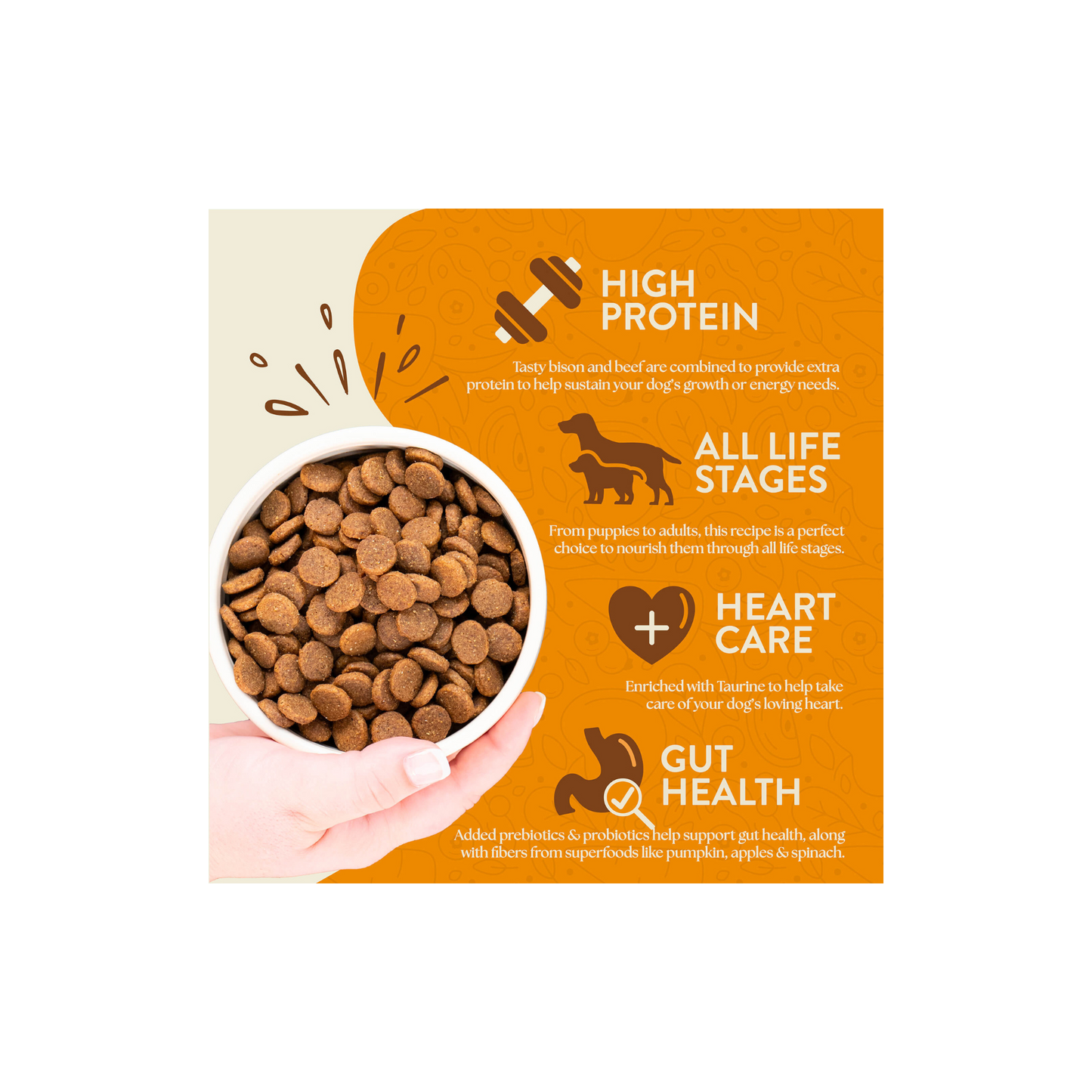 Earthborn Holistic Great Plains Feast 25 Lbs