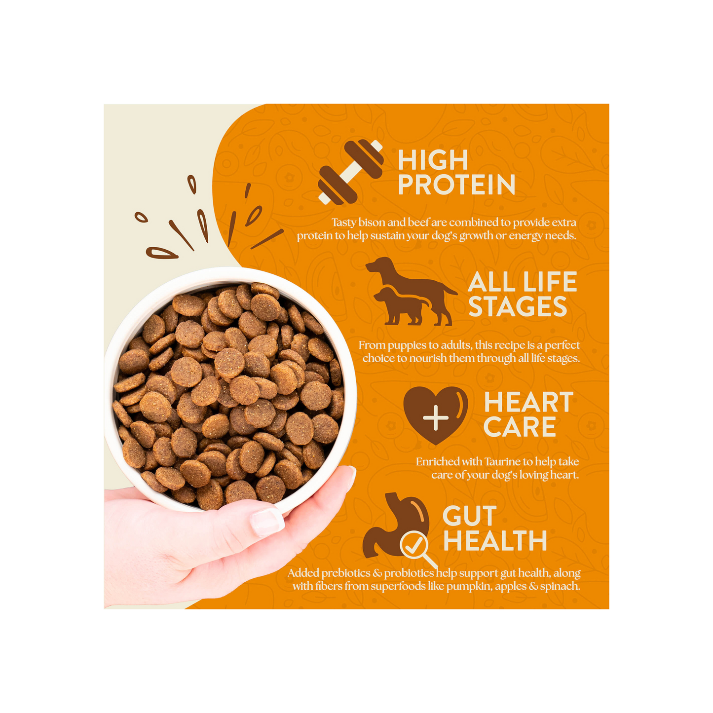 Earthborn Holistic Great Plains Feast 4 Lbs