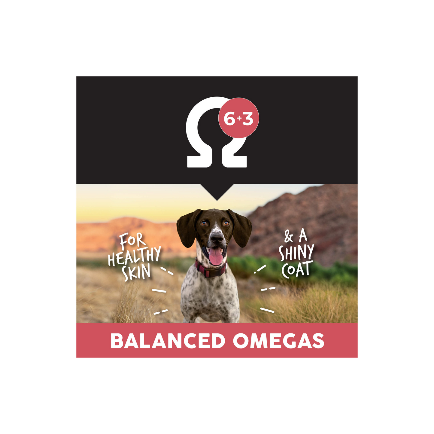 Ultimates Overland Red 5 Lbs