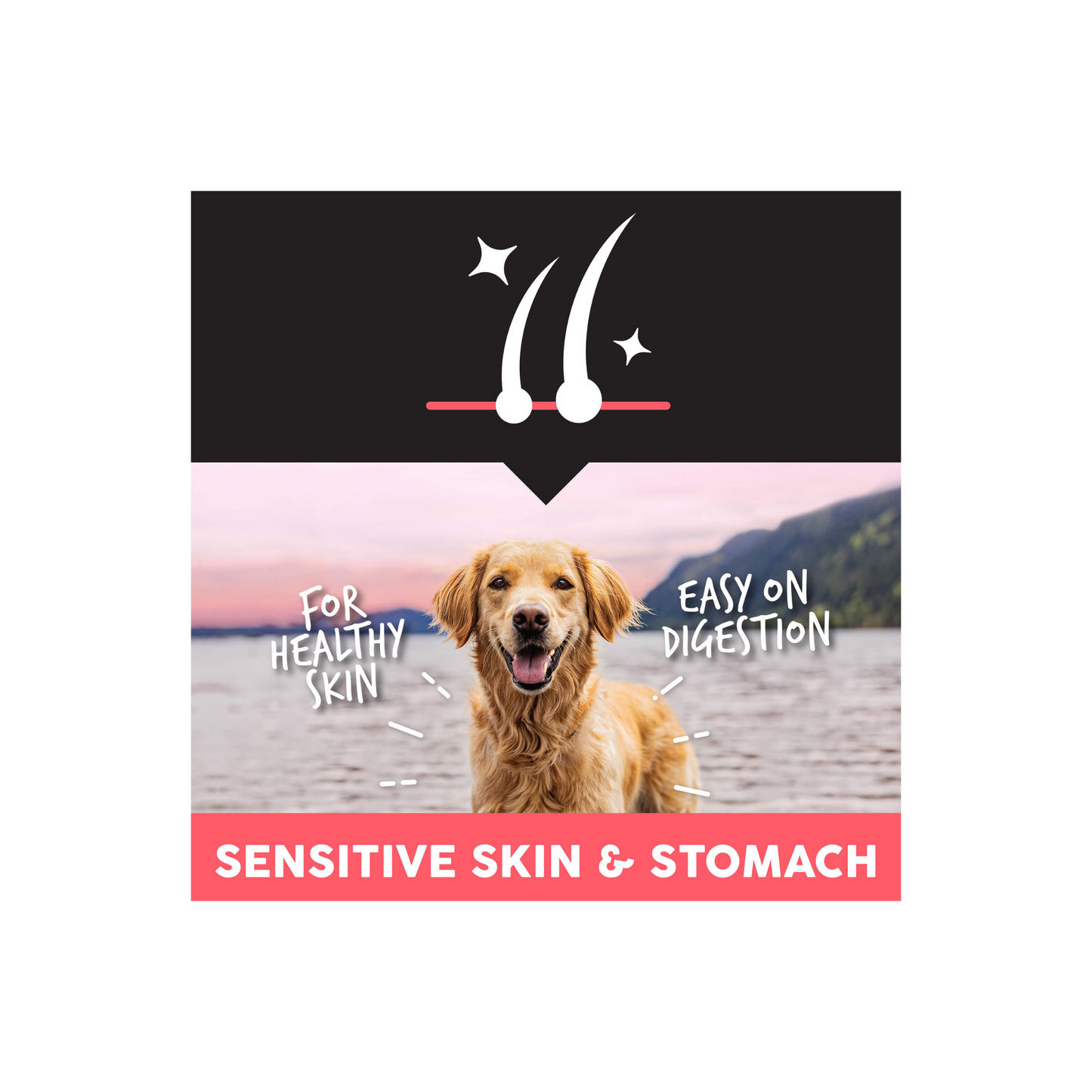 Ultimates Sensitive with Salmon Protein 5 Lbs