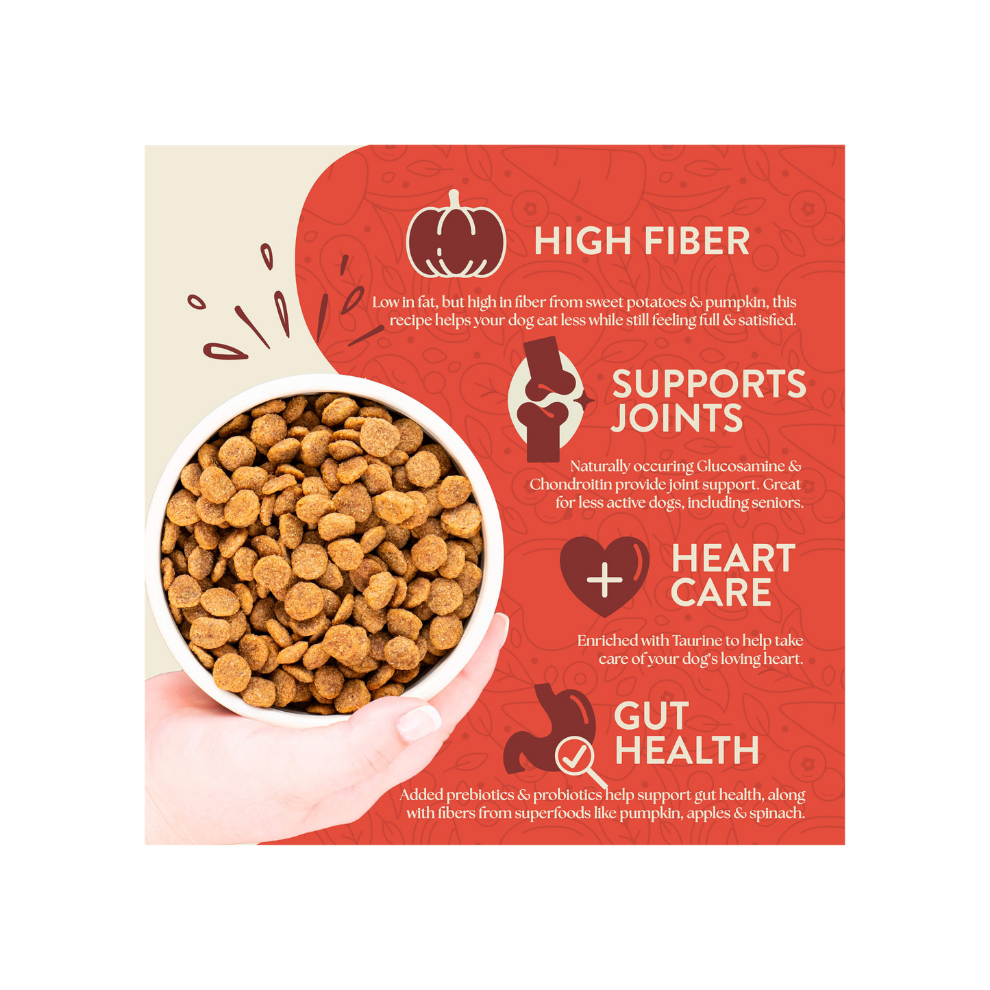 Earthborn Holistic Weight Control 25 Lbs