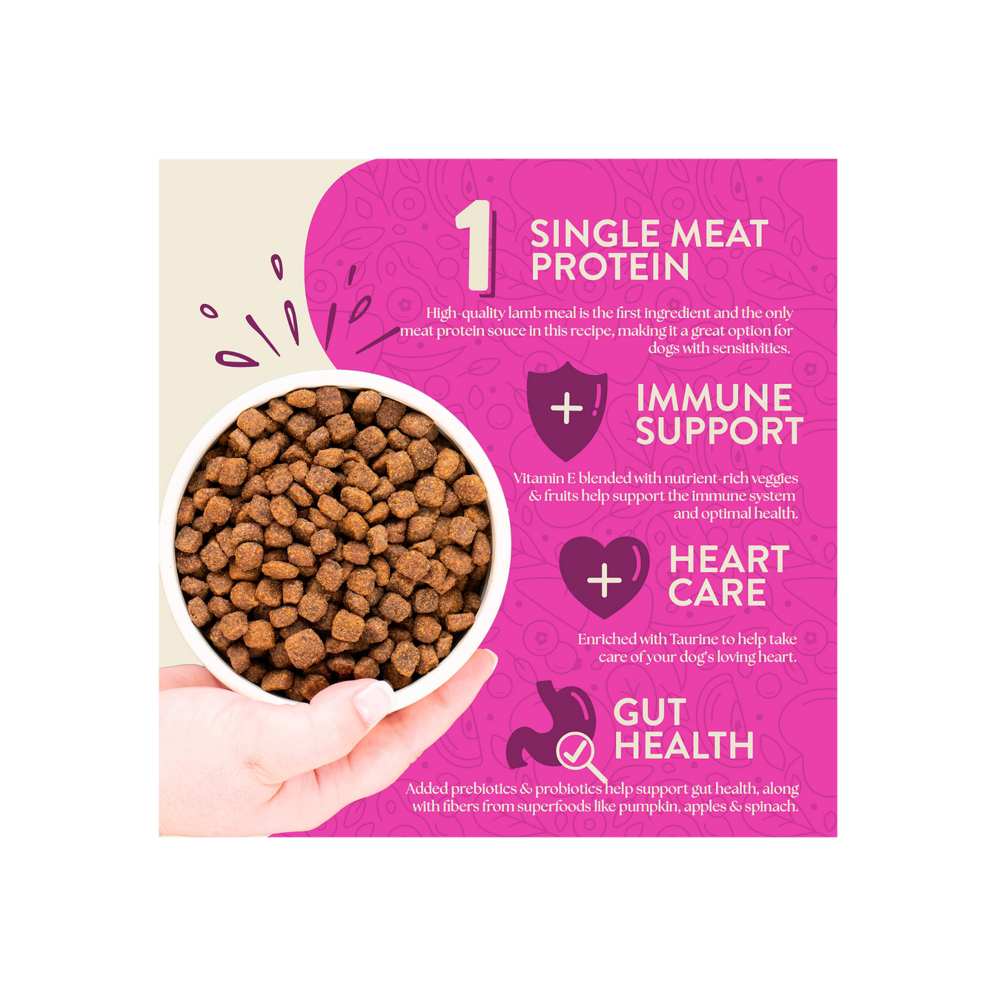 Earthborn Holistic Meadow Feast 25 Lbs