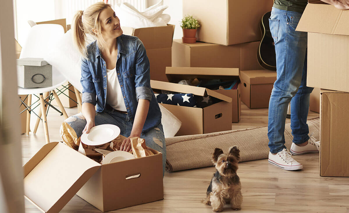 ¿Cuáles son los mejores perros para vivir en apartamentos?