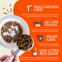 Earthborn Holistic Primitive Feline 4 lbs