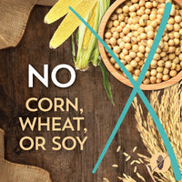 Wholesomes Cat Sensitive Skin & Stomach Salmon Protein 10 lbs