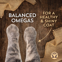 Wholesomes Cat Chicken Meal & Rice 15 lbs