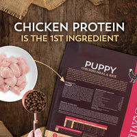 Wholesomes Puppy Chicken Meal & Rice 16.5 lbs