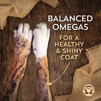 Wholesomes Chicken Meal & Brown Rice 40 lbs