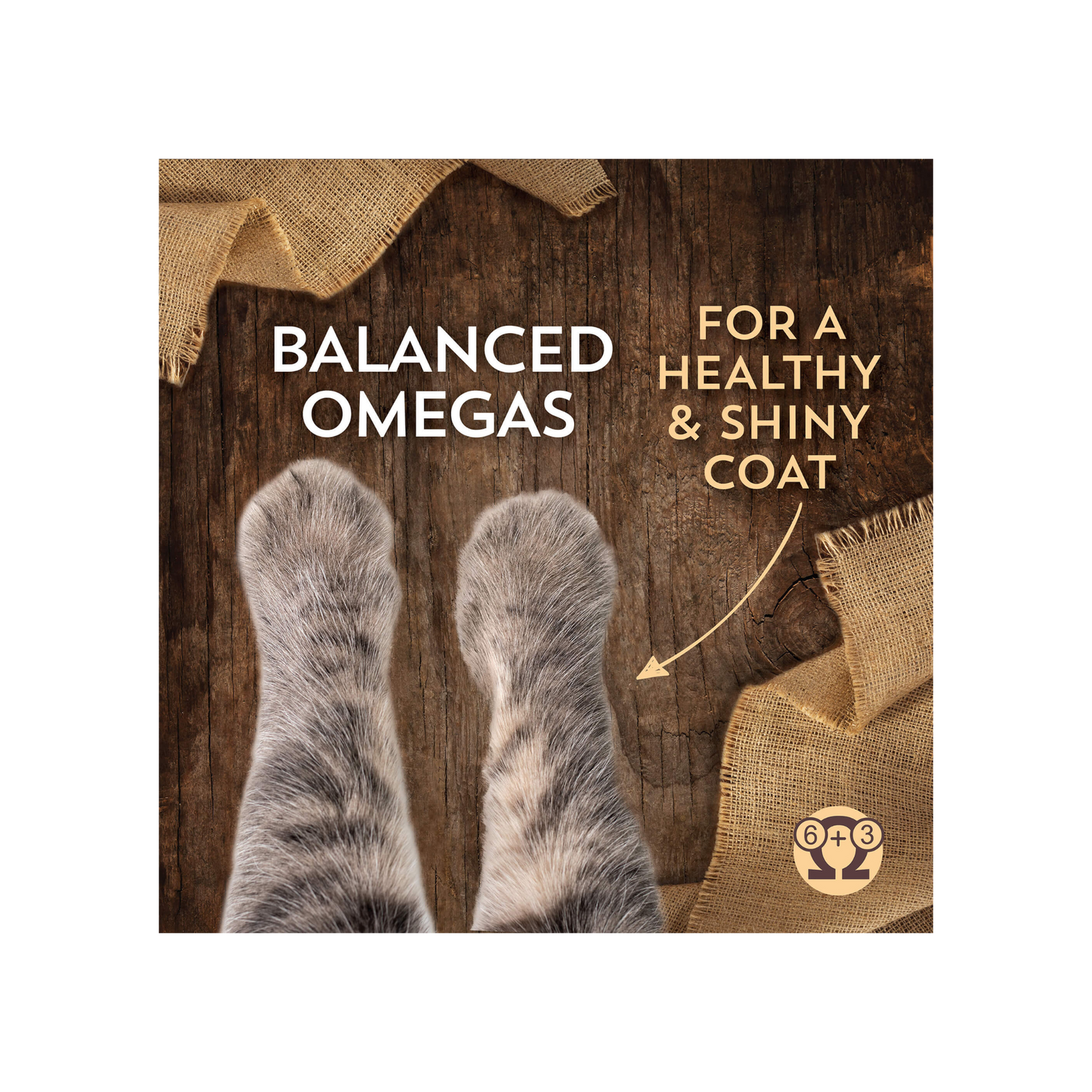 Wholesomes Cat Sensitive Skin & Stomach with Salmon Protein 10 Lbs