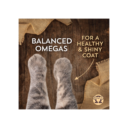Wholesomes Cat Sensitive Skin & Stomach with Salmon Protein 10 Lbs