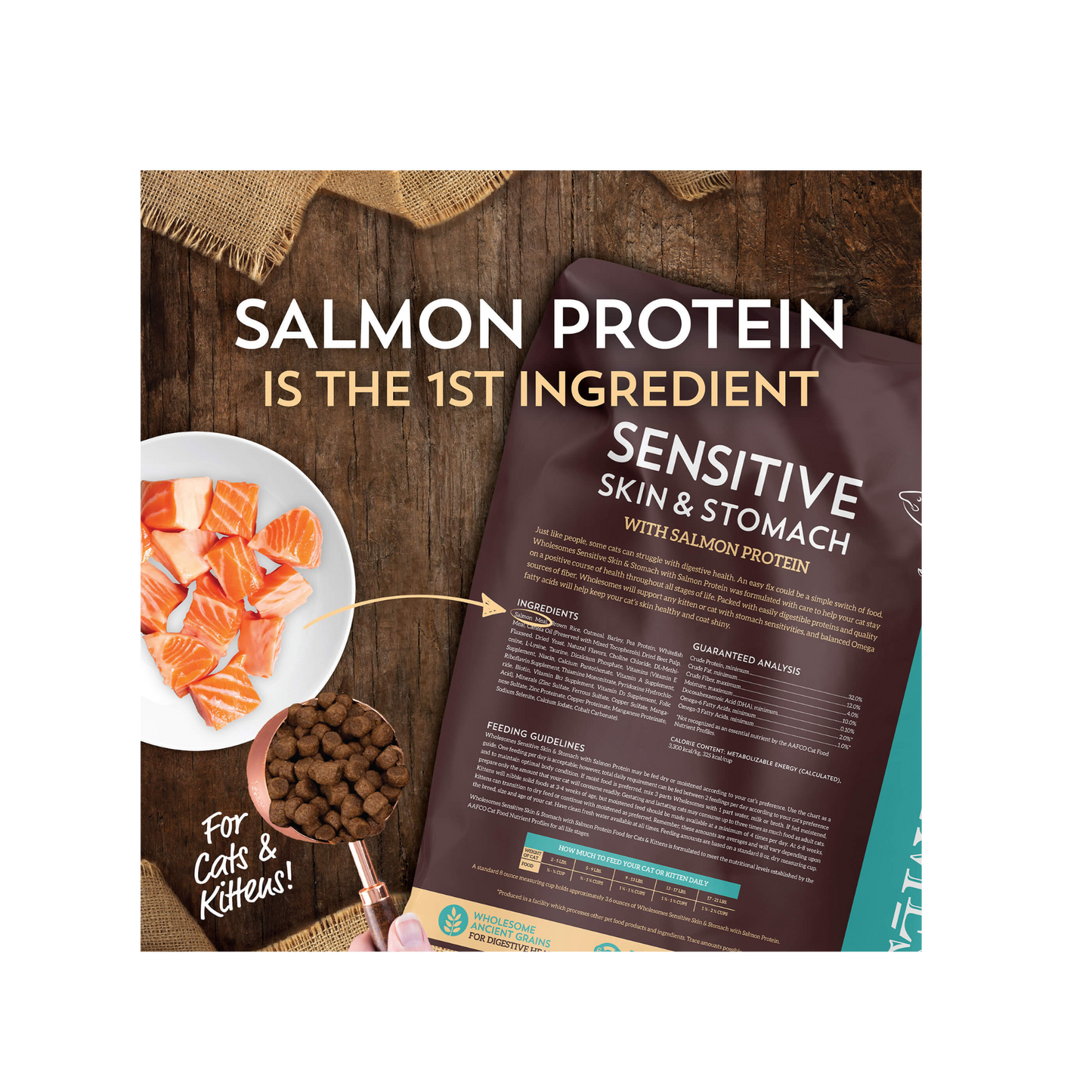 Wholesomes Cat Sensitive Skin & Stomach with Salmon Protein 10 Lbs