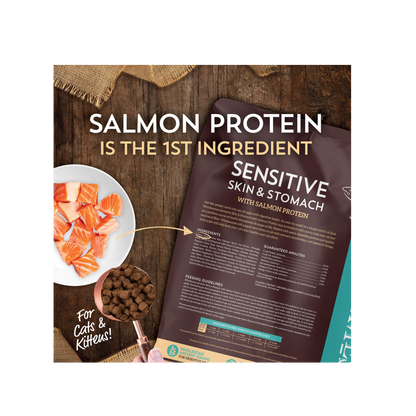 Wholesomes Cat Sensitive Skin & Stomach with Salmon Protein 10 Lbs