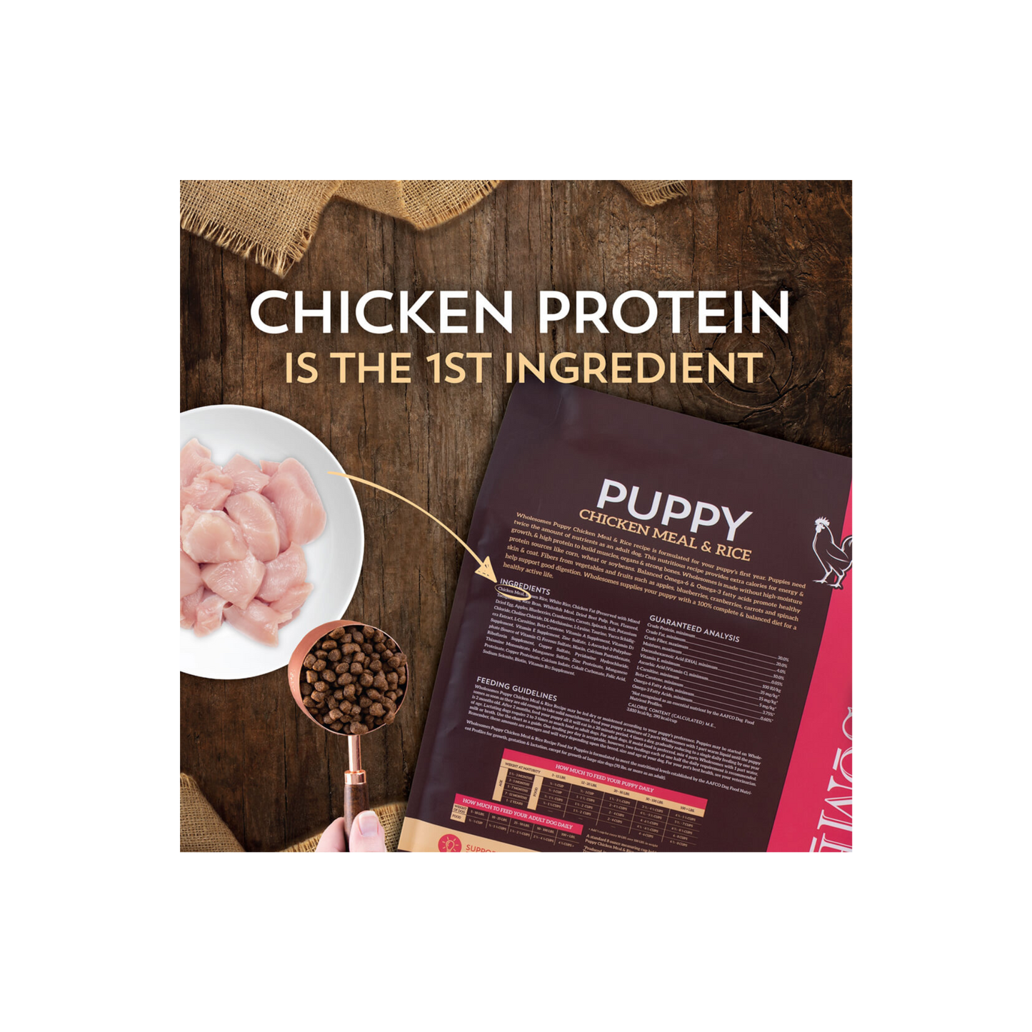 Puppy Chicken & Browm Rice 5 Lbs