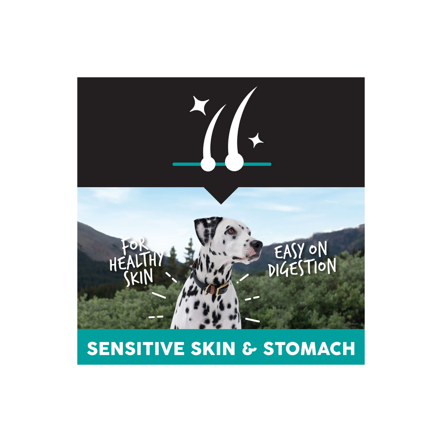 Sensitive with Lamb Protein 5 Lbs