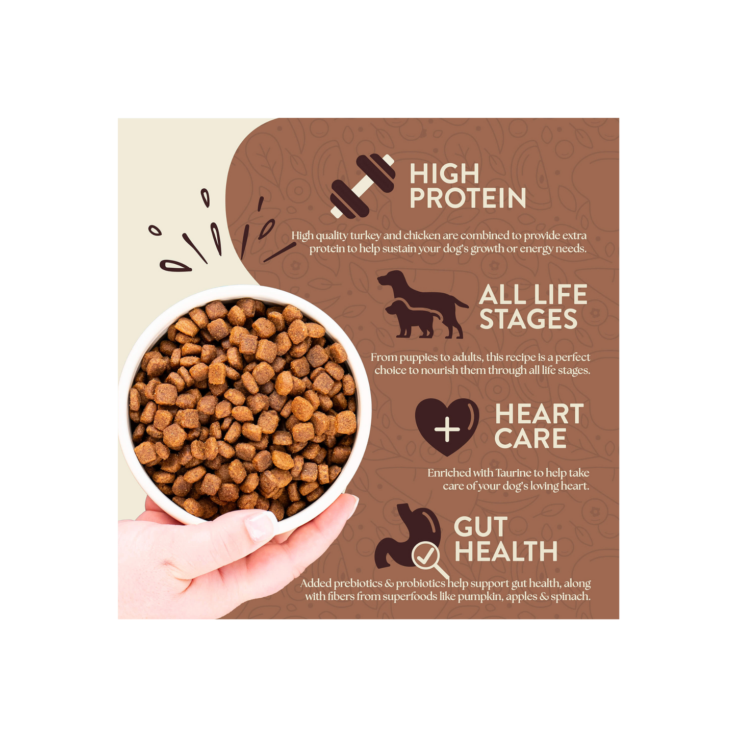 Earthborn Holistic Primitive Natural 25 Lbs