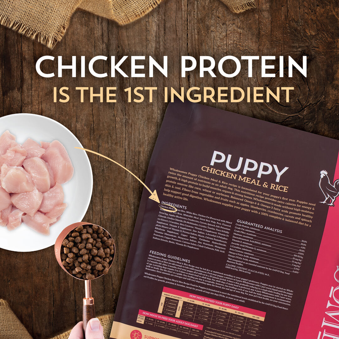 Alimento para cachorros con pollo y arroz integral, 5 libras